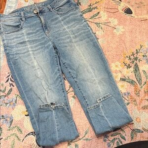 American Eagle Outfitters Light Blue Flare Jeans